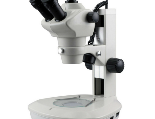 Estereomicroscopio AmScope SF-2TRA